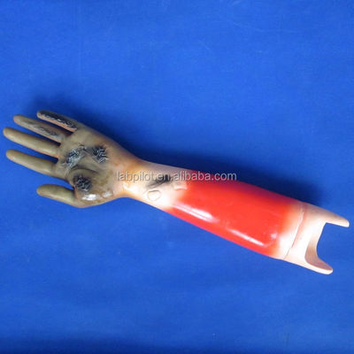 Modelos avançados de trauma de PVC para treinamento de enfermagem de feridas e demonstração de cuidados com pacientes