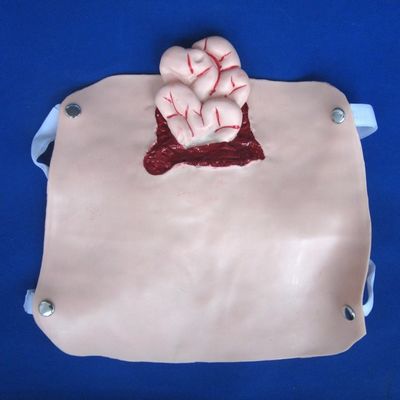 Modelos avançados de trauma de PVC para treinamento de enfermagem de feridas e demonstração de cuidados com pacientes