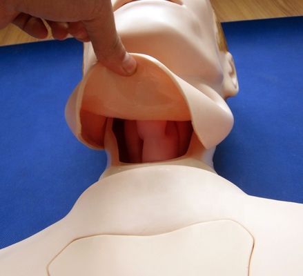 Manikin de enfermagem de meio corpo para alimentação nasogástrica e ajuda de treinamento de intubação da traqueia