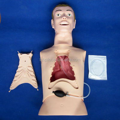 Manikin de enfermagem de meio corpo para alimentação nasogástrica e ajuda de treinamento de intubação da traqueia