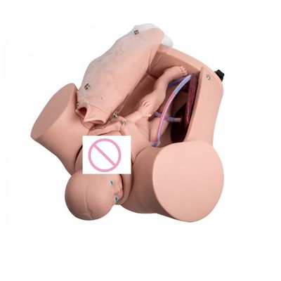 Formação integral em competências de parto Manikin para escola de enfermagem e parteira