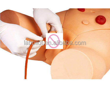 Ciências Médicas Simulador de cateterismo masculino e feminino para modelo de prática de treinamento