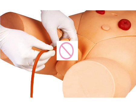 Modelo de formação em enfermagem de cateterismo masculino para estudantes de medicina Desenvolvimento de competências