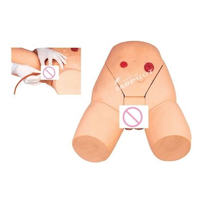 Modelo de Treinamento de Injecção Intramuscular para o Desenvolvimento de Habilidades de Cateterismo Feminino