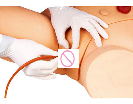Modelo de Treinamento de Injecção Intramuscular para o Desenvolvimento de Habilidades de Cateterismo Feminino