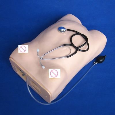 Exame obstétrico Maternidade Palpação abdominal Mulheres grávidas Manikin