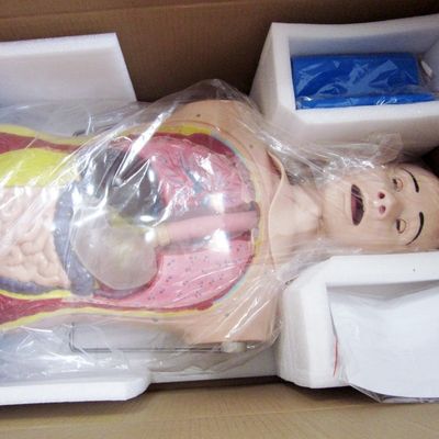 Innovador tubo nasal gástrico e traqueia habilidades de enfermagem manequim com características realistas