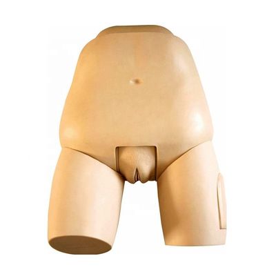 Simulador de fundo avançado para exame do útero modelo de manequim feminino pós-parto
