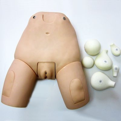 Simulador de fundo avançado para exame do útero modelo de manequim feminino pós-parto