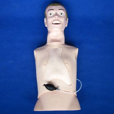 Manikin de Intubation e Sucção Profissional de Tamanho Humano com Função de Enfermagem