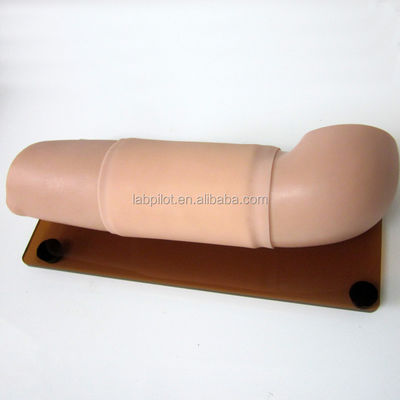 Manikin para habilidades obstétricas e ginecológicas Modelo de contracepção de ensino Modelo de braço