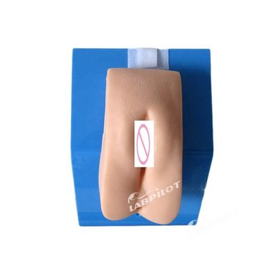 Simulador de cateterismo simples Maniquínio de cateterismo uretral feminino