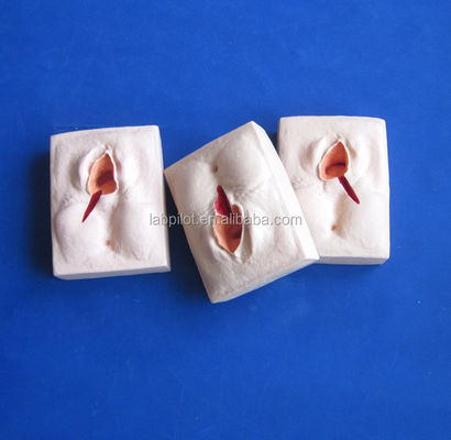 Simulador de Treinamento Avançado de Episiorrafia em PVC para Técnicas Realistas de Suratura da Vulva