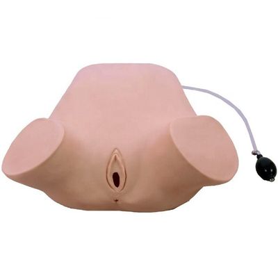 Avançado PVC Multifuncional Quatro Manobras Leopold Modelo Rectal e Exame Vaginal Manikin Treinamento