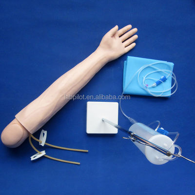 Modelo de braço de ensino de perfusão e injecção intravenosa para prática de simulação médica