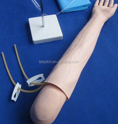 Modelo de braço de ensino de perfusão e injecção intravenosa para prática de simulação médica