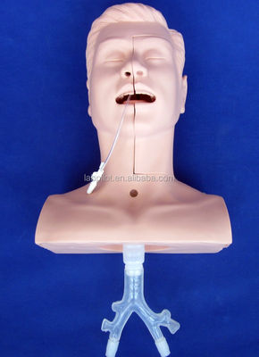 Modelo versátil de sucção da cavidade oral e nasal para o treinamento clínico das faculdades de medicina