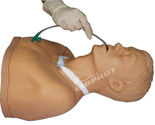 Manikin de enfermagem com Função de Treinamento de Sucção Adultos Cuidados e Sucção de Traqueostomia