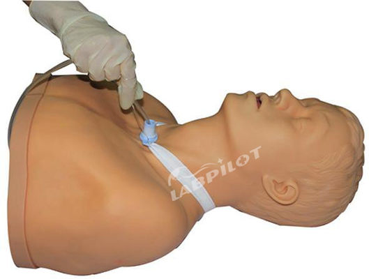Manikin de enfermagem com Função de Treinamento de Sucção Adultos Cuidados e Sucção de Traqueostomia