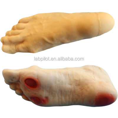 Modelo de Simulador de Enfermagem de Pés Diabéticos Com Habilidades de Enema Ensinando Manikin