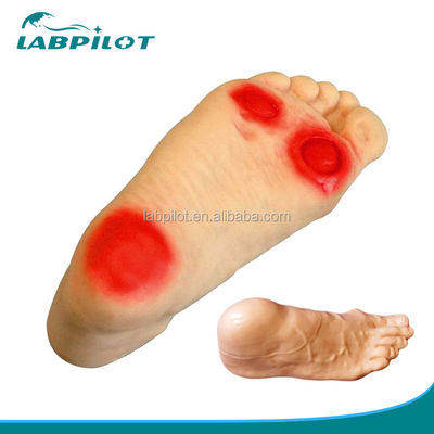 Modelo de Simulador de Enfermagem de Pés Diabéticos Com Habilidades de Enema Ensinando Manikin
