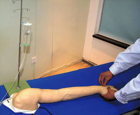 Modelo de Treinamento de Transfusão Venosa e Injeção Avançada de PVC Arm IV totalmente funcional