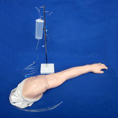 Modelo de Treinamento de Transfusão Venosa e Injeção Avançada de PVC Arm IV totalmente funcional