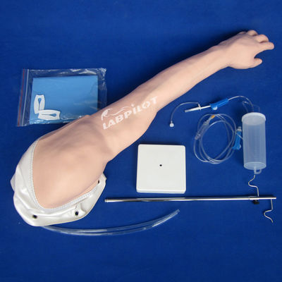 Modelo de Treinamento de Transfusão Venosa e Injeção Avançada de PVC Arm IV totalmente funcional
