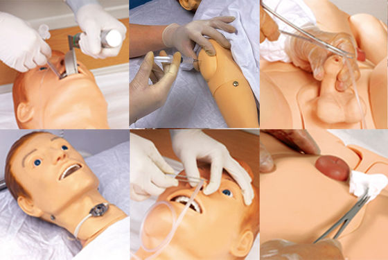 Manikin de enfermagem multiuso com funções de treinamento em venenetração e medição da pressão arterial