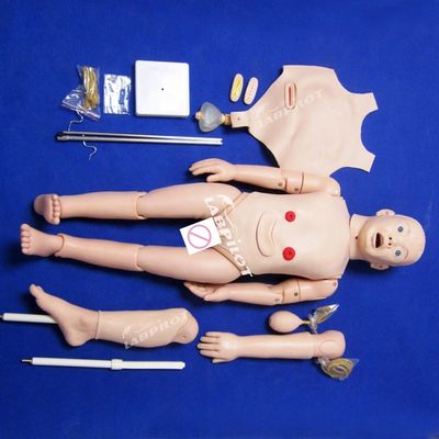 Pediatria Modelo anatômico para formação em maternidade e cuidados pediátricos de crianças de 3 anos