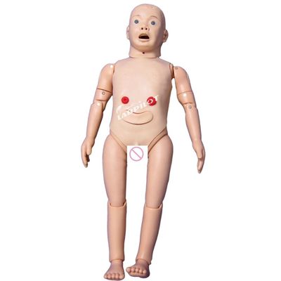 Pediatria Modelo anatômico para formação em maternidade e cuidados pediátricos de crianças de 3 anos