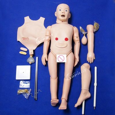 Pediatria Modelo anatômico para formação em maternidade e cuidados pediátricos de crianças de 3 anos