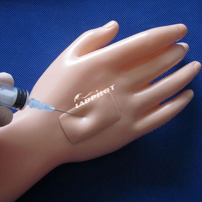 Manikin de cuidados com pacientes simples e altamente funcional para formação de enfermagem em ciências médicas