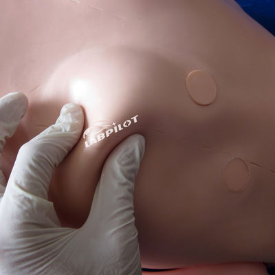 Manikin de cuidados com pacientes simples e altamente funcional para formação de enfermagem em ciências médicas