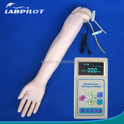 Manikin de PVC avançado para simulação de braço da prática médica e treinamento de medição de pressão arterial
