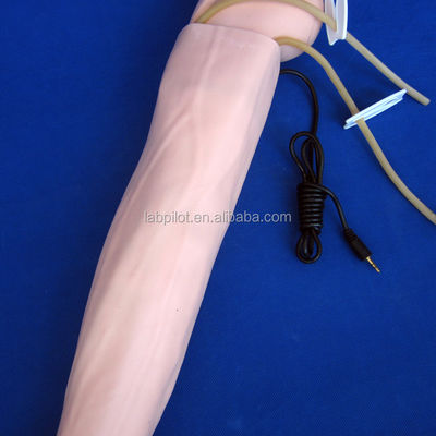Manikin de PVC avançado para simulação de braço da prática médica e treinamento de medição de pressão arterial