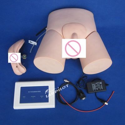 Manikin de cateterismo de enfermagem avançado com controlador de PVC
