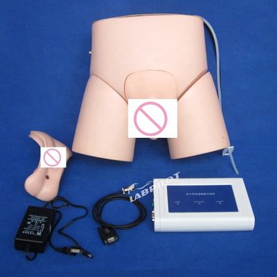 Manikin de cateterismo de enfermagem avançado com controlador de PVC