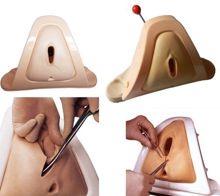 Modelo avançado de obstetrícia-ginecologia de PVC para ensino de habilidades econômicas Técnicas de laboratório