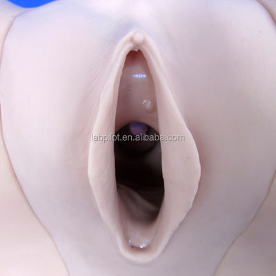 Melhorar as técnicas clínicas de enfermagem com o simulador contraceptivo feminino e o modelo do DIU
