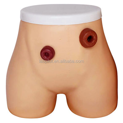 Modelo avançado de enfermagem de ostomia de PVC para formação em ileostomia e colostomia em hospitais