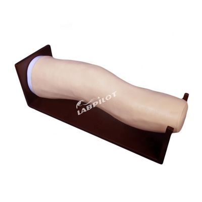 Modelo avançado de joelho de PVC para injecções intraarticulares e treinamento de aspiração articular