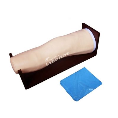 Modelo avançado de joelho de PVC para injecções intraarticulares e treinamento de aspiração articular