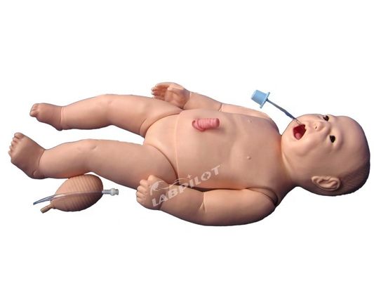 ACLS Enfermagem Neonatal Manikin Tamanho da vida humana Subjeto para ensino de ciências médicas