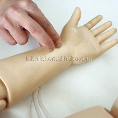 Cuidados Pediátricos Criança de um ano de idade Enfermagem e RCP Manikin para treinamento de salvação de vidas