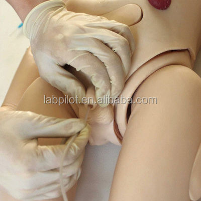 Cuidados Pediátricos Criança de um ano de idade Enfermagem e RCP Manikin para treinamento de salvação de vidas