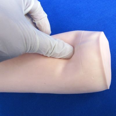 Ciências Médicas Econômicas Venipunctura Média e Injeção IV Ensino Modelo Simulador de Punção do Cotovelo