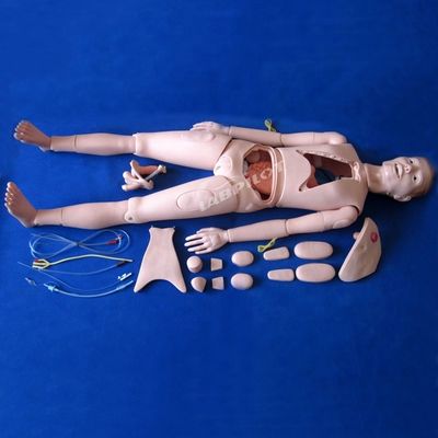 Demonstração de cuidados com pacientes Ciência médica avançada Enfermagem Maniquim com órgãos internos