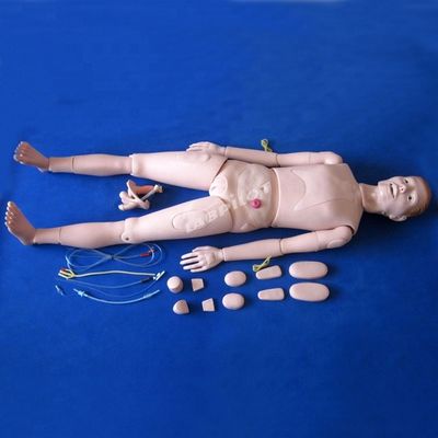 Demonstração de cuidados com pacientes Ciência médica avançada Enfermagem Maniquim com órgãos internos