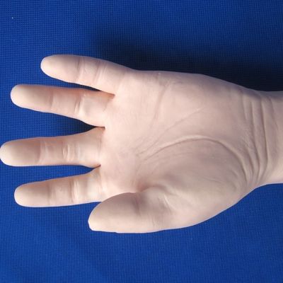 Treinamento de Venipunctura Integral Braço Modelo de Tamanho da Vida Humana para Injecções IV e IM